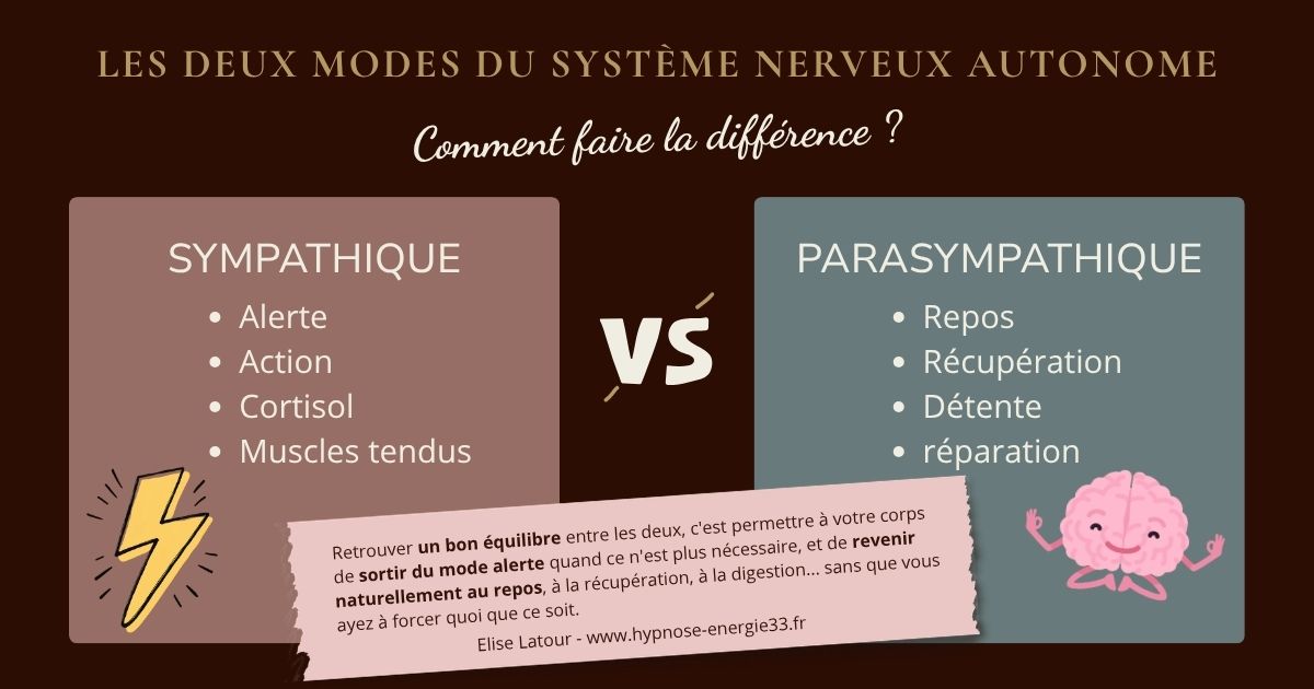 les deux modes du système nerveux automne
